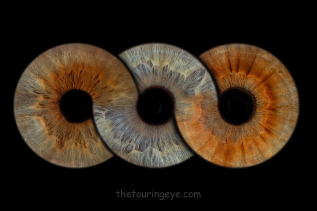 3 eye irises in an infinity loop. Iris photography. Eye photography. UK. The Touring Eye