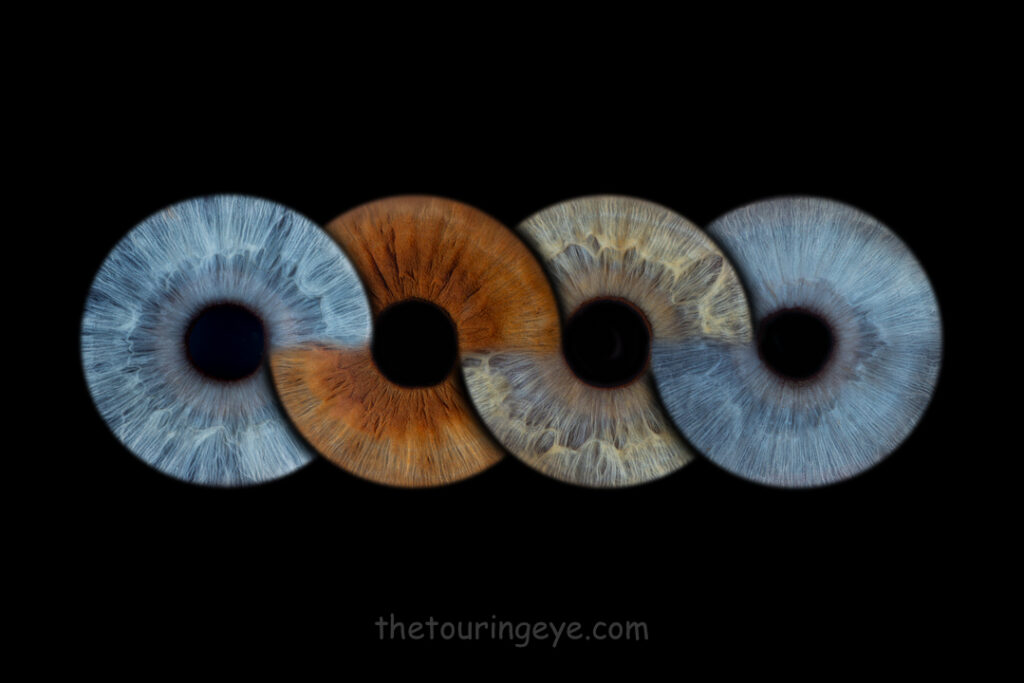 Southport Iris Photography pop-up. Iris photography. Eye photography. Irisography. The Touring Eye