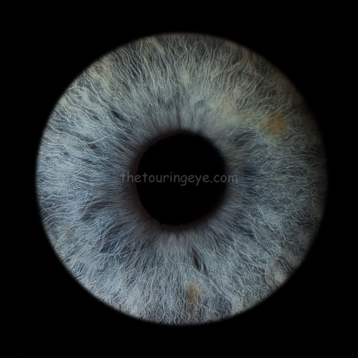 Alans blue iris. Iris photography review. Iris photography. Eye photography. UK. The Touring Eye. Irisography