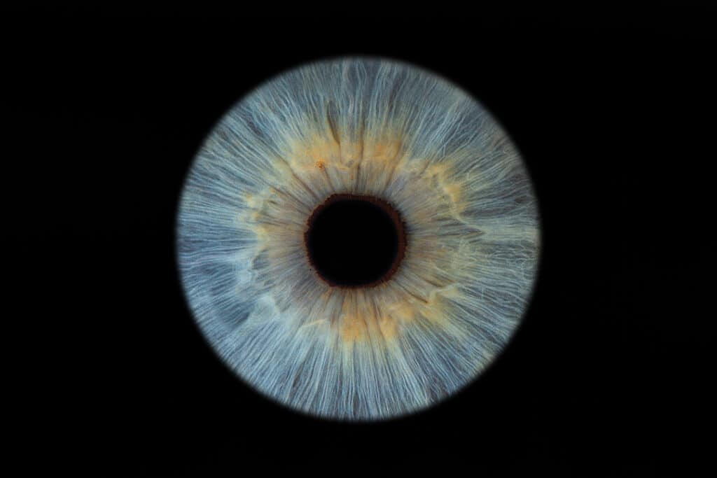 Blue and yellow eye iris. Iris photography. Eye photography. UK. Irisography