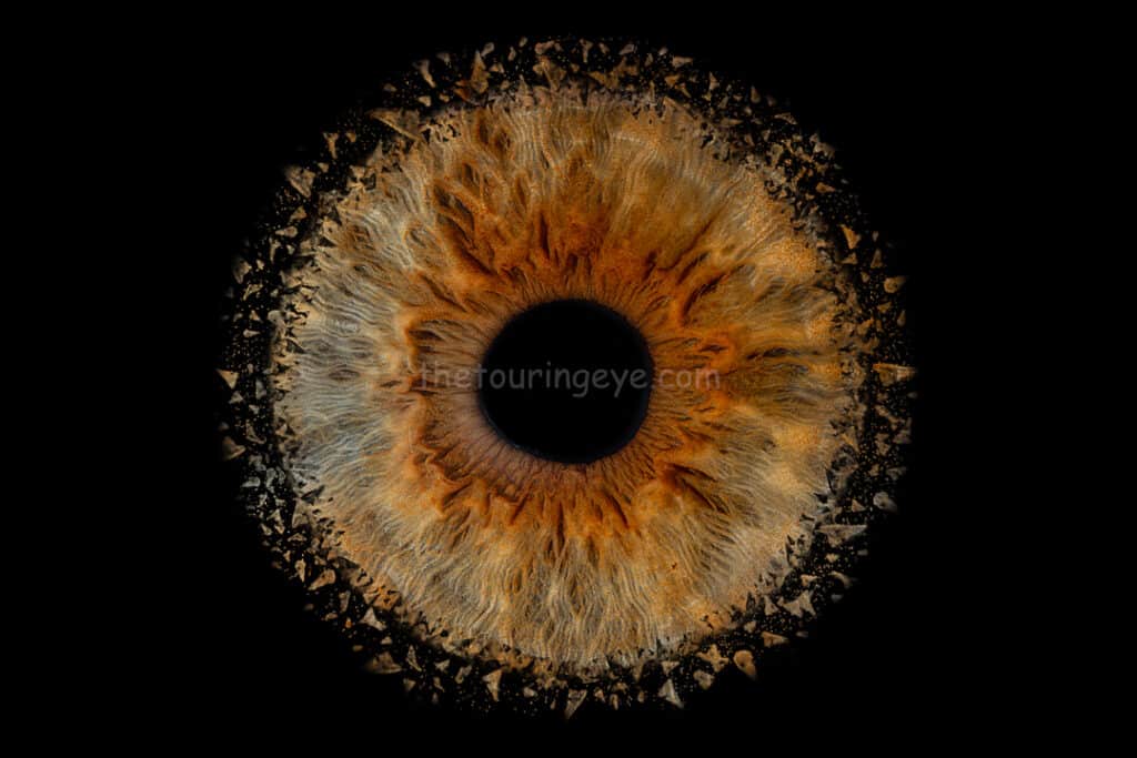 Brown iris explosion. Iris photography. Eye photography. UK. Irisography