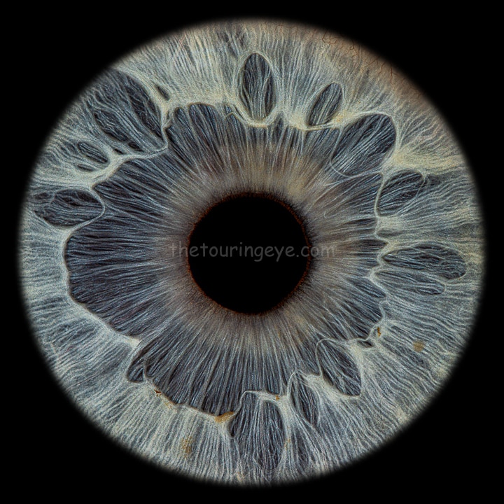 High detail blue/grey eye iris. Iris photography. Eye photography. UK. The Touring Eye