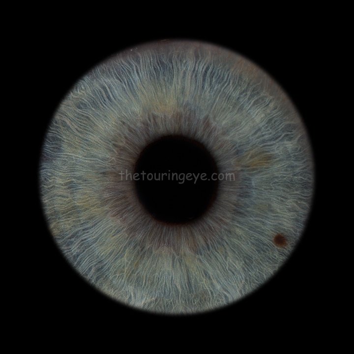Emma's light blue iris. Iris photography review. Iris photography. Eye photography. UK. The Touring Eye. Irisography