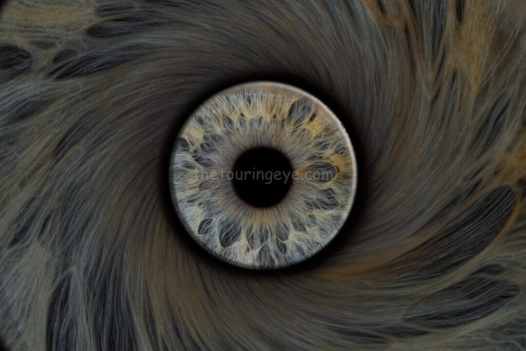 Eye in Eye Twirl. Iris photography. Eye photography. The Touring Eye. UK