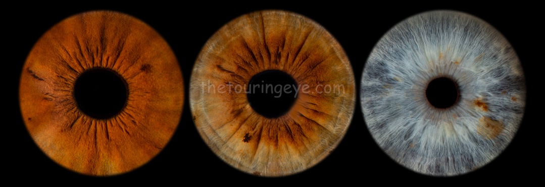 Family of 3 eye iris photography. 3 eyes placed next to each other in a row. Iris photography. Eye photography. UK. The Touring Eye