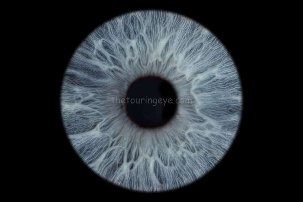 Single Light blue eye iris. Iris photography. Eye photography. Irisography. UK