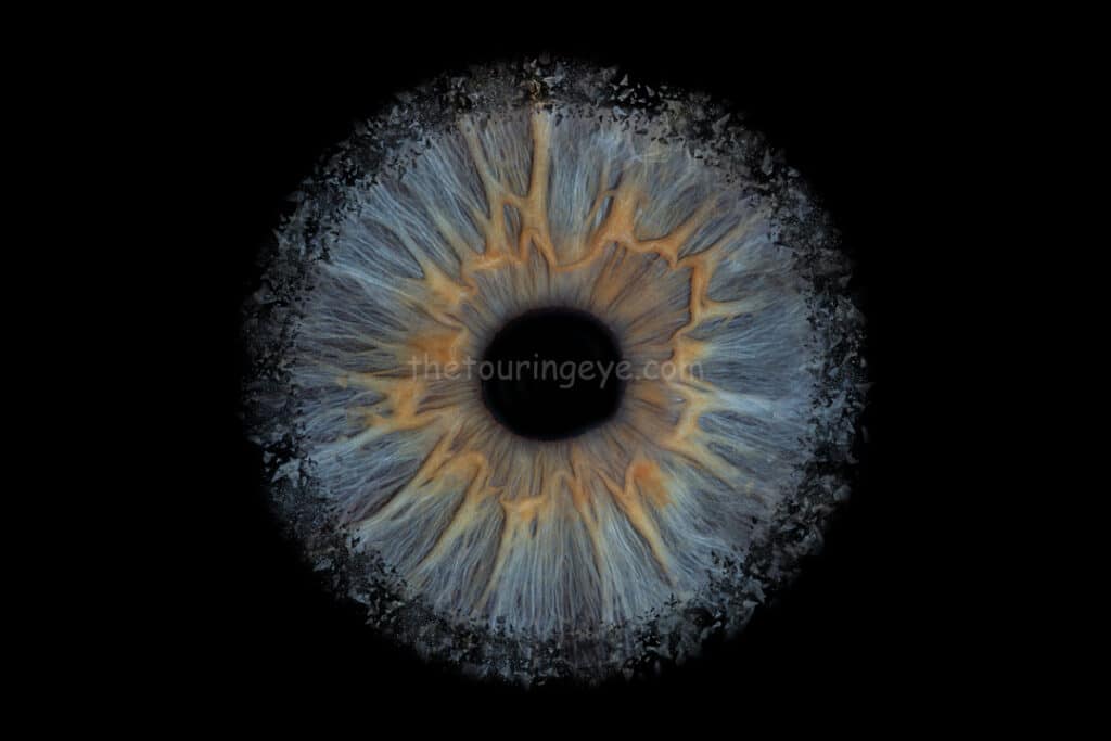 A blue eye iris exploding. Iris photography. Eye photography. UK. The Touring Eye