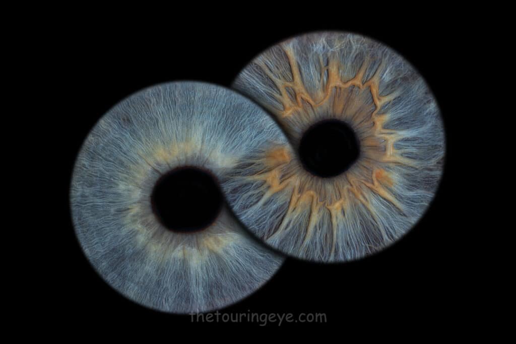 Two blue eyes infinity. Iris photography. Eye photography. UK. Irisography