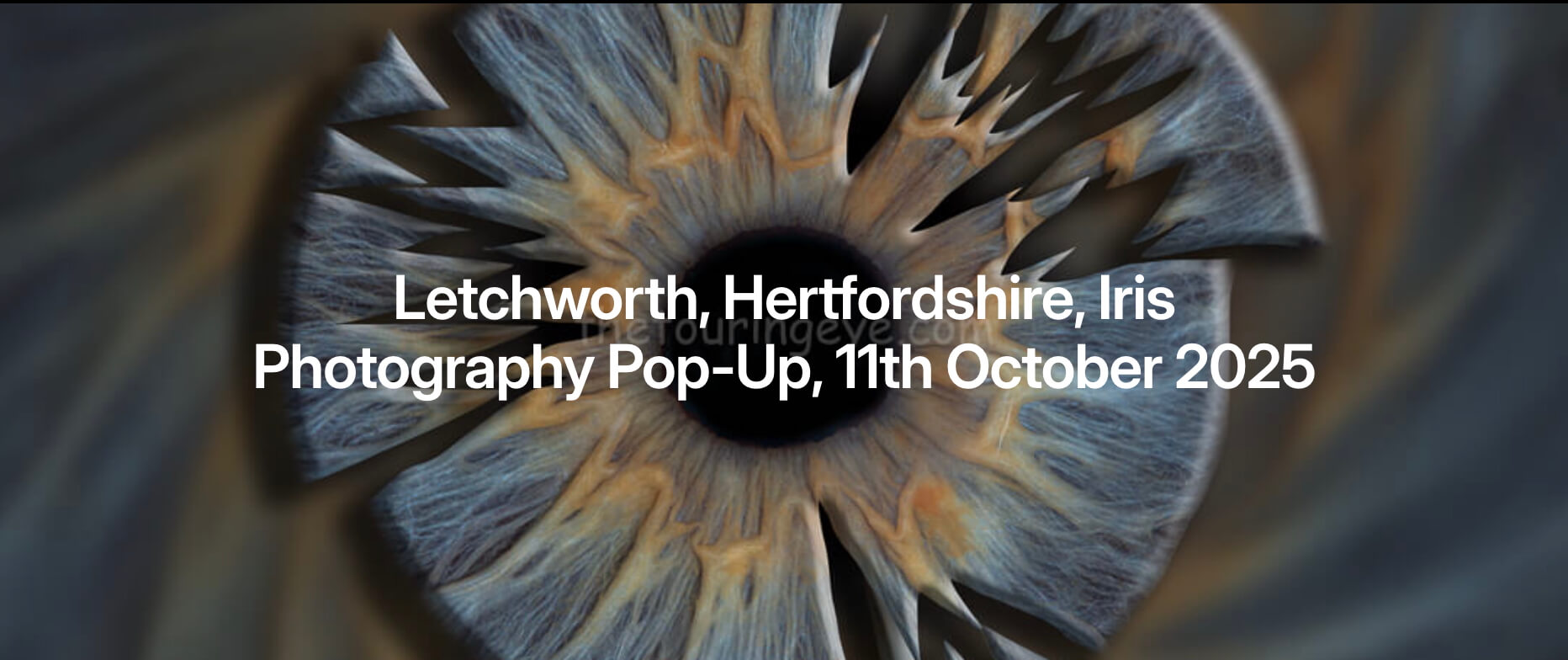 Letchworth, Hertfordshire, Iris Photography Pop-Up, 11-10-25