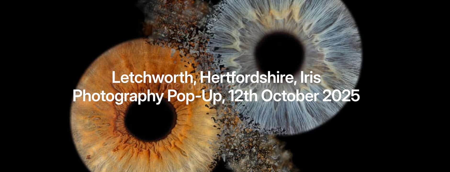 Letchworth, Hertfordshire, Iris Photography Pop-Up, 12-10-25