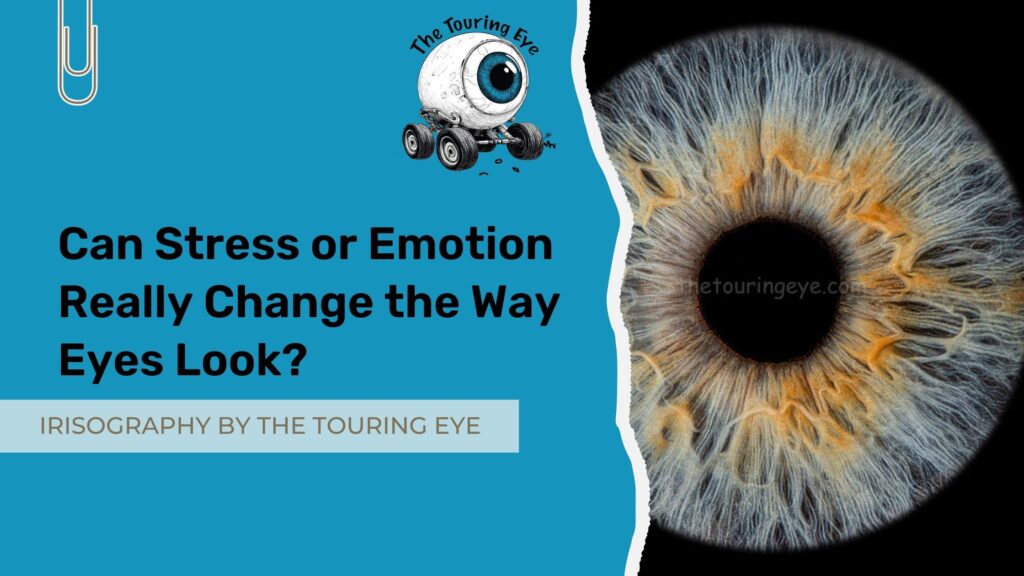 Can Stress or Emotion Really Change the Way Eyes Look? Iris Photography. Eye facts. Eye photography. Irisography. The Touring Eye