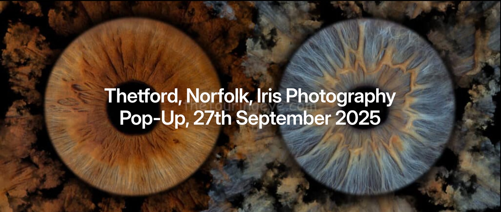 Thetford, Norfolk, Iris Photography Pop-Up, 27-09-25