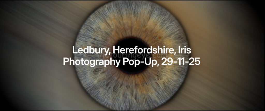 Ledbury iris photography pop-up. Eye photography. The Touring Eye. Irisography